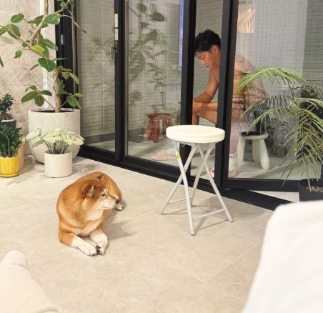 パンサー尾形の新居