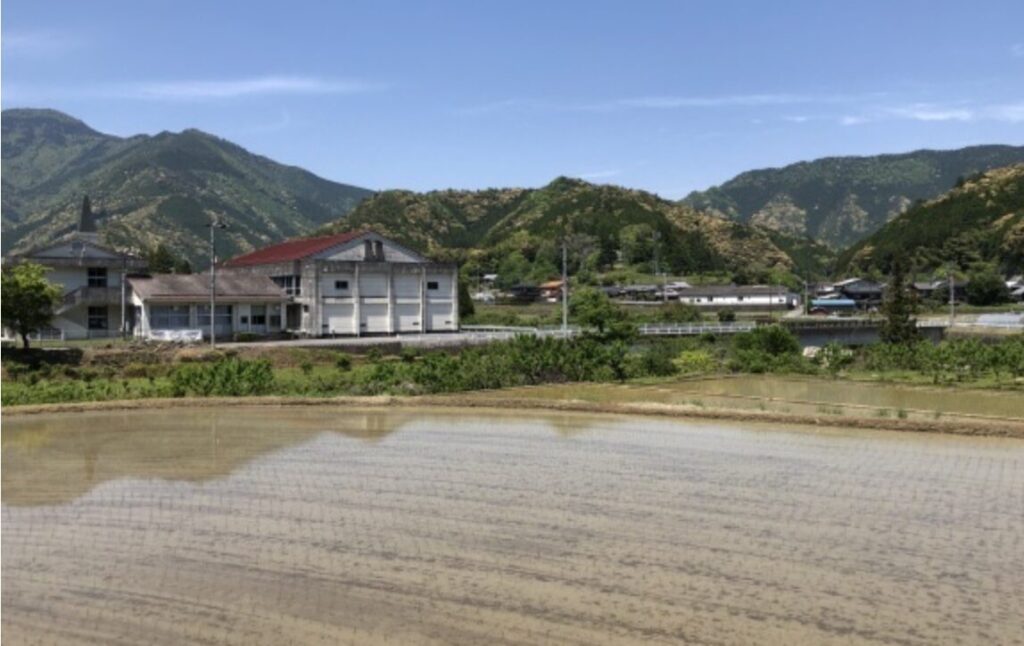 モグライダー芝の小学校