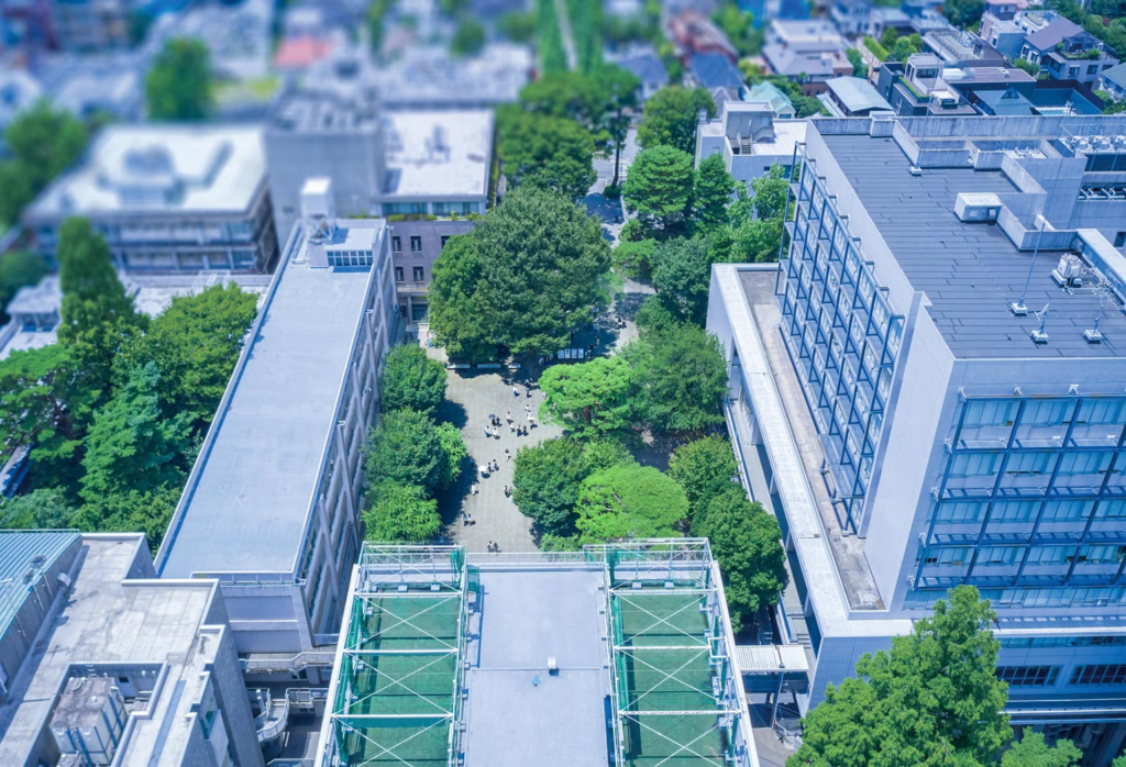 成城大学